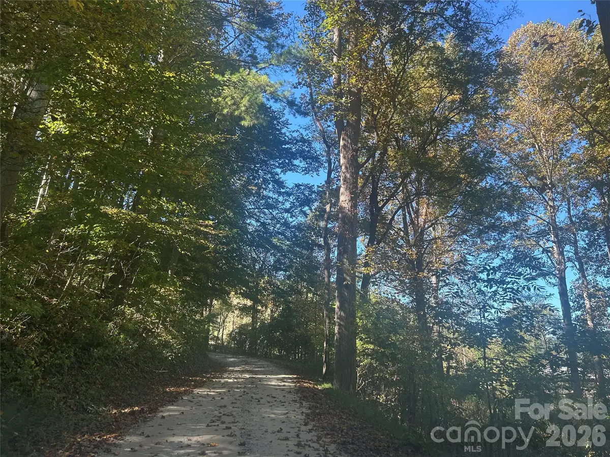 00 Split Pine Cove, Clyde, NC 28721 - #1