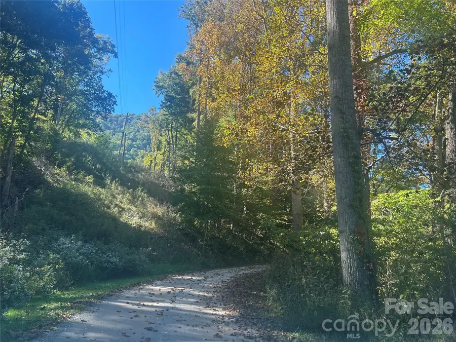 00 Split Pine Cove, Clyde, NC 28721 - #2