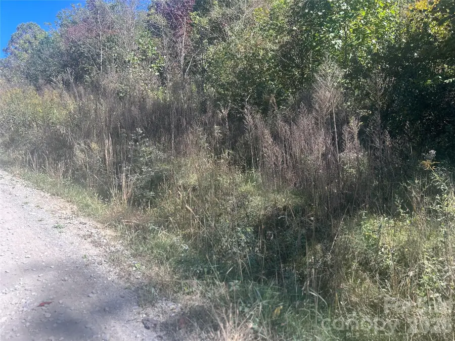 00 Split Pine Cove, Clyde, NC 28721 - #3