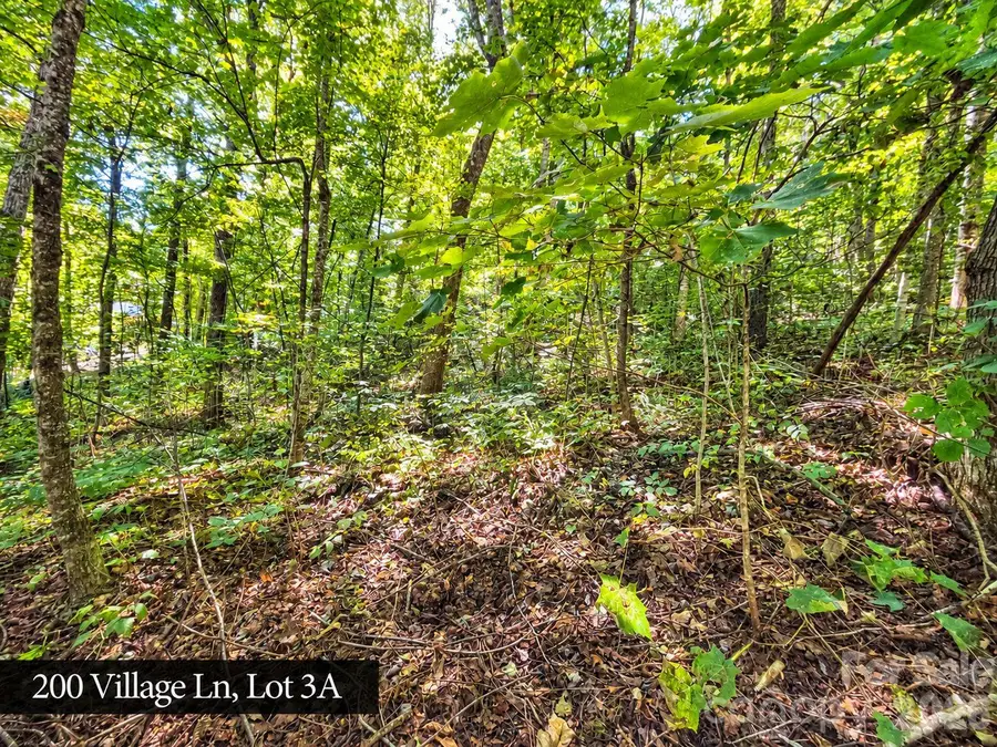 200 Village Lane #3A, Waynesville, NC 28786 - #2