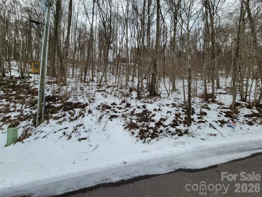 200 Village Lane #3A, Waynesville, NC 28786 - #3