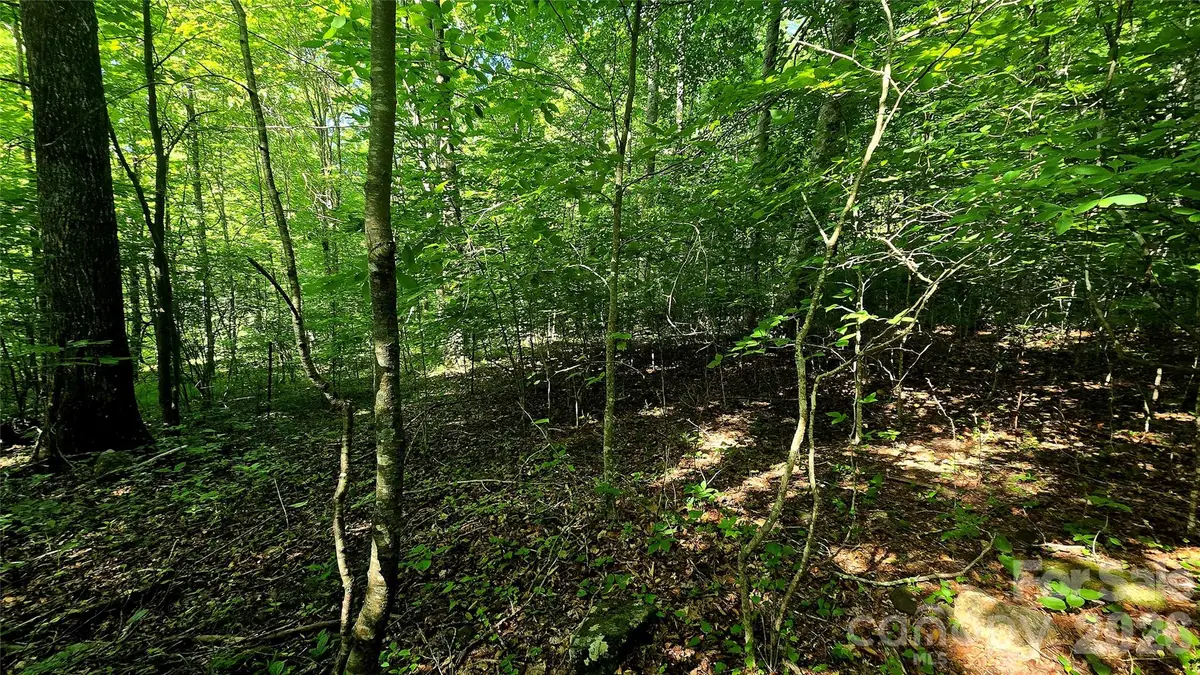 Lot 11 Elk Creek Mountain Parkway #11, Todd, NC 28684 - #1