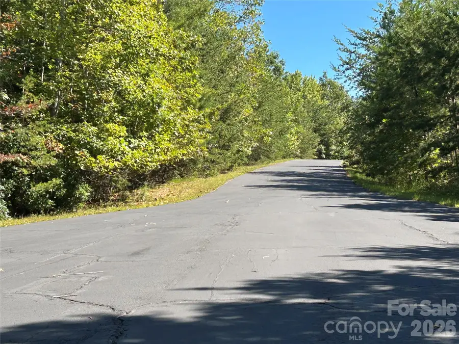 168 Robinwood Trail, Bostic, NC 28018 - #3