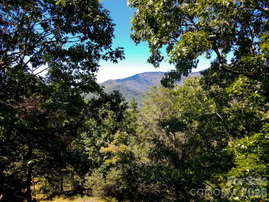 335 Mt. Mitchell Drive, Burnsville, NC 28714 - #2