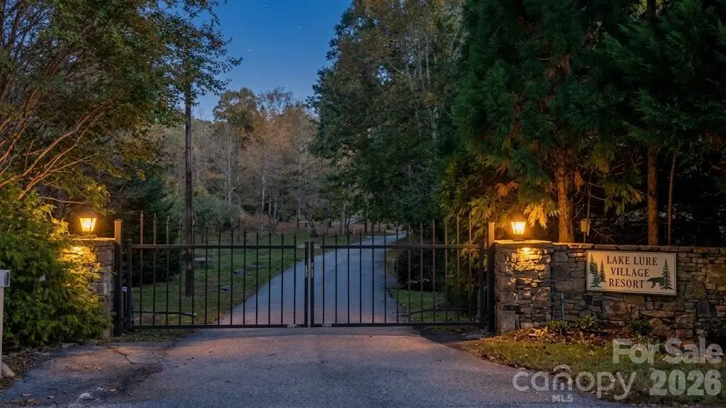 0 E Wilderness Road #153, Lake Lure, NC 28746 - #1