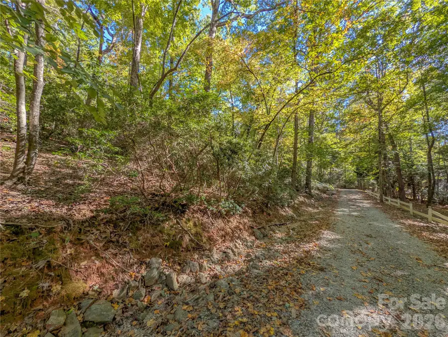 0 E Wilderness Road #153, Lake Lure, NC 28746 - #2