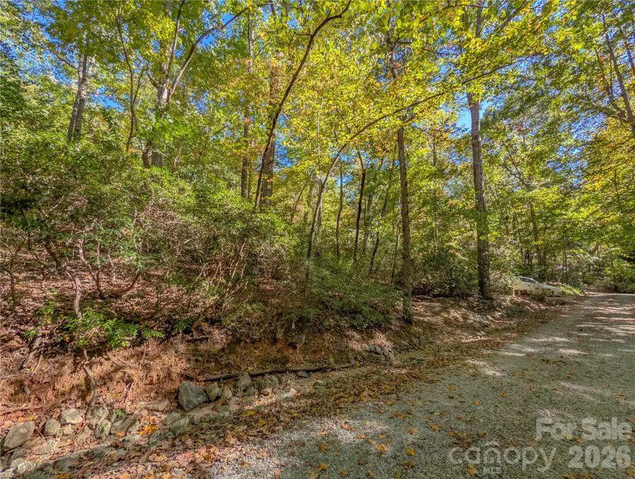 0 E Wilderness Road #153, Lake Lure, NC 28746 - #3