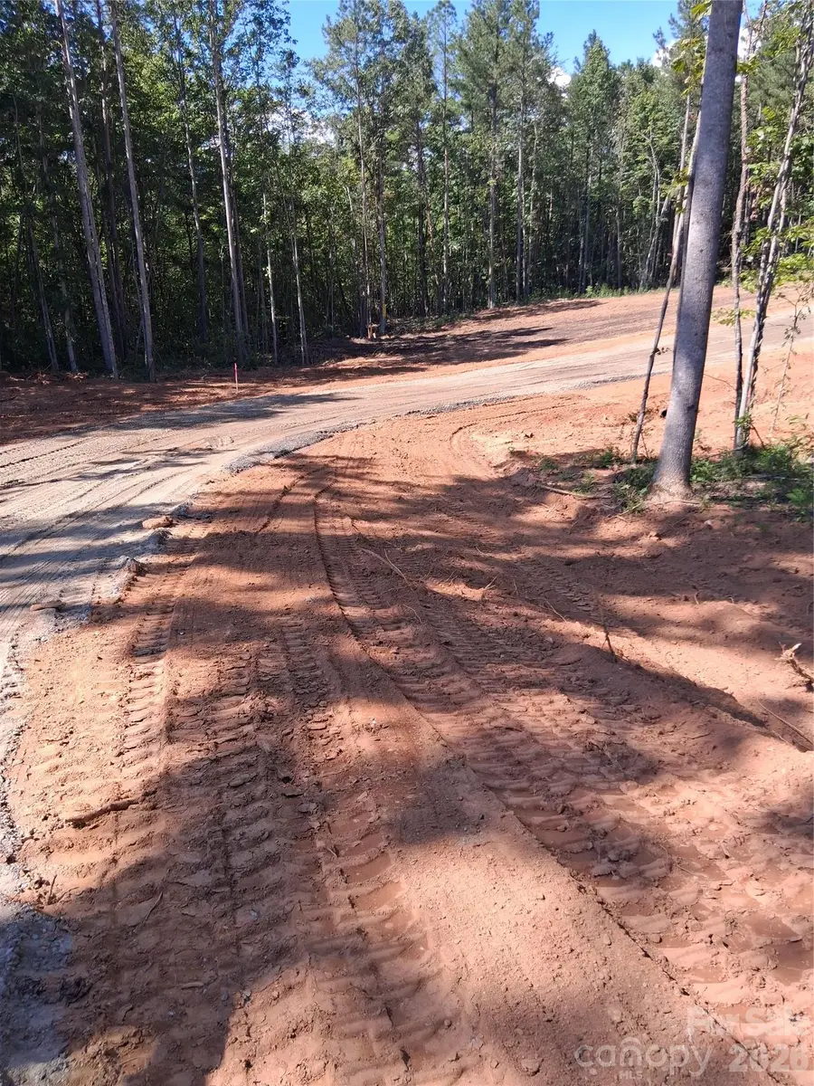 95 Vein Mountain Road #4, Dysartsville, NC 28761 - #3