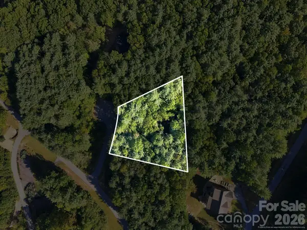 7 Spruce Tree Court, Leicester, NC 28748