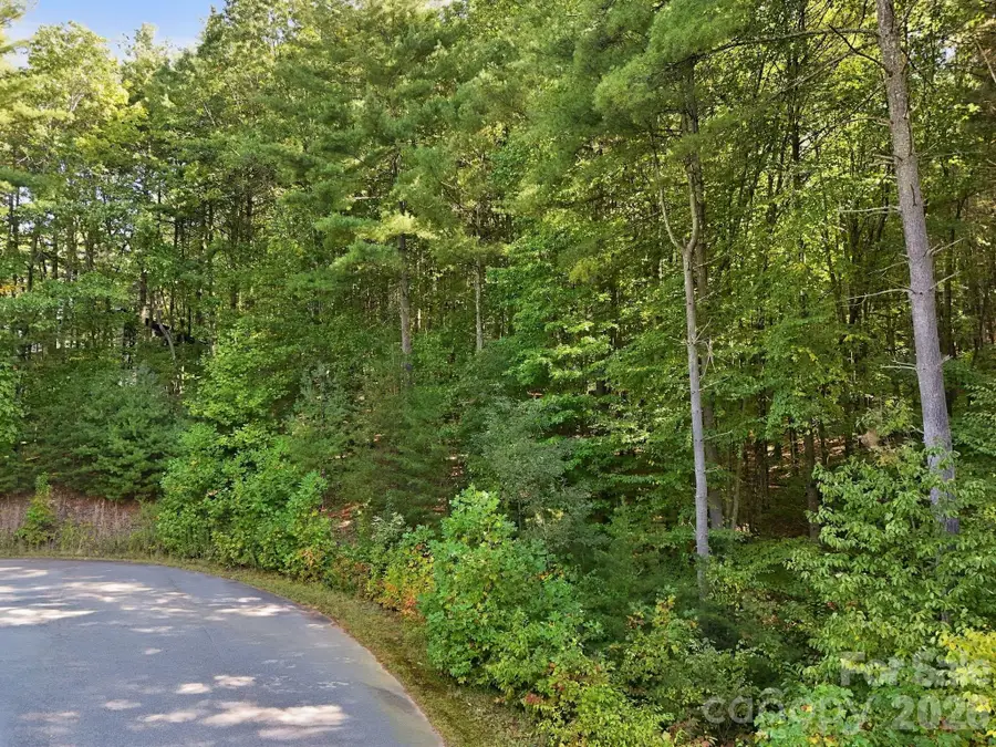7 Spruce Tree Court, Leicester, NC 28748 - #3