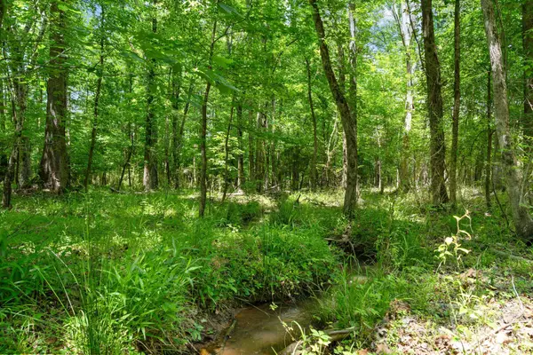 0000 Ashford Ferry Road, Carlisle, SC 29706