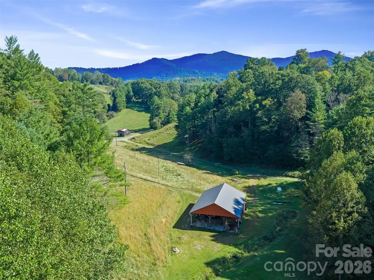 210 Fog Hollow Drive, Green Mountain, NC 28740 - #1