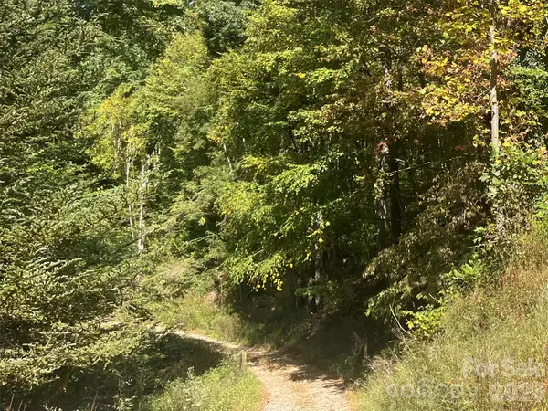 00 Gibson Branch Road #7, Clyde, NC 28721
