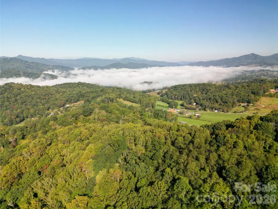 989 Brigadoon Drive, Clyde, NC 28721 - #3