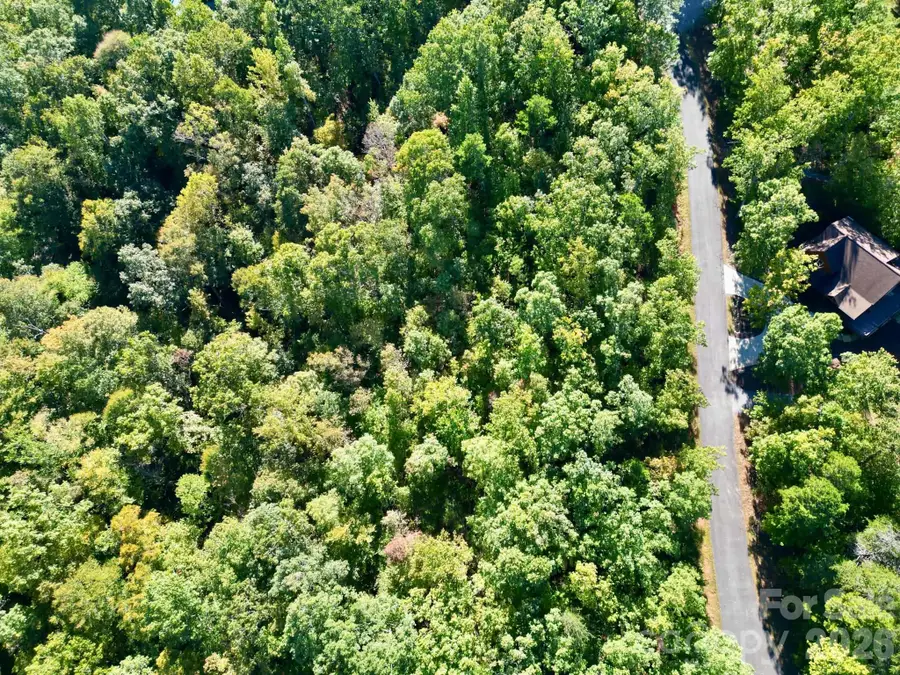 00 Grindstone Drive #135, Nebo, NC 28761 - #2