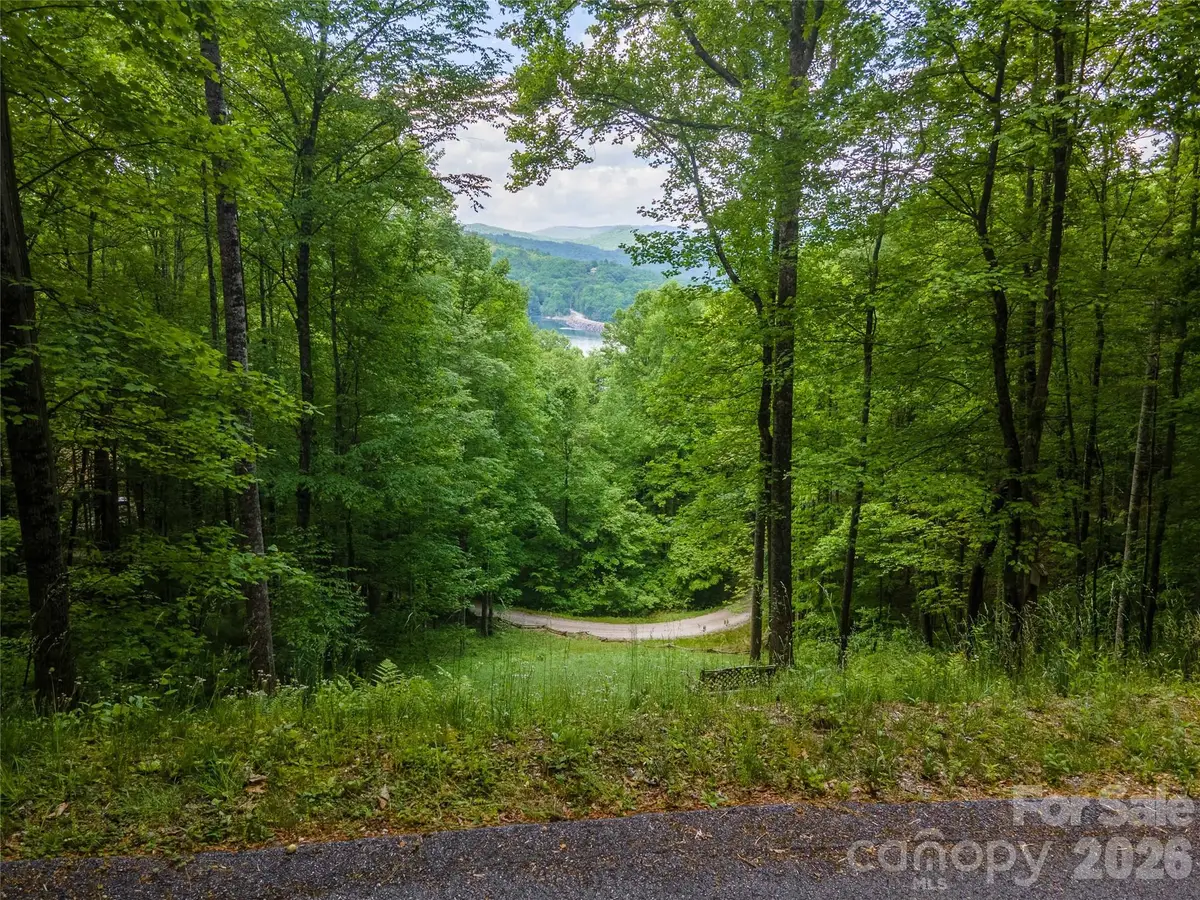 Lt 10 Von Trapp Lane #10, Tuckasegee, NC 28783 - #1