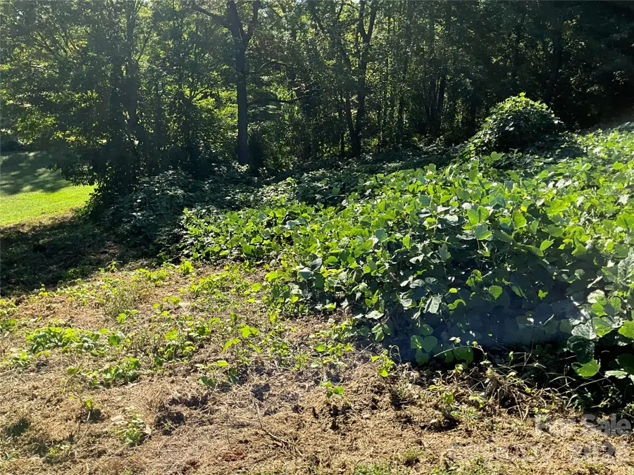 Lot 7 Macy Court, Taylorsville, NC 28681 - #3