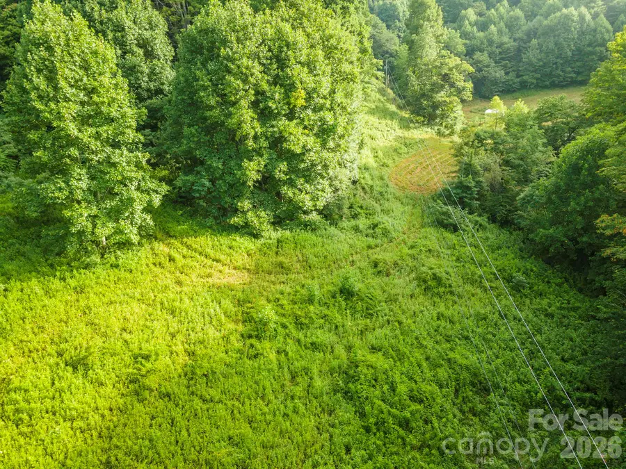 99999 Renfro Road, Green Mountain, NC 28740 - #3