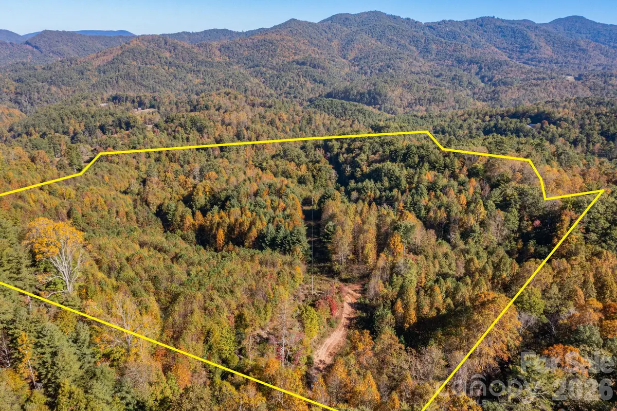 000 Destiny Road, Waynesville, NC 28785 - #1