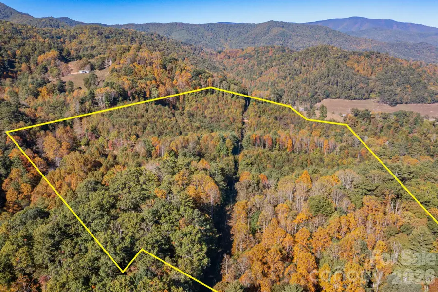 000 Destiny Road, Waynesville, NC 28785 - #2