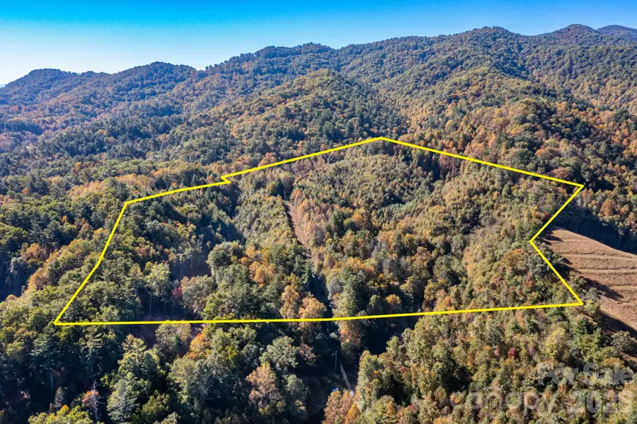 000 Destiny Road, Waynesville, NC 28785 - #3