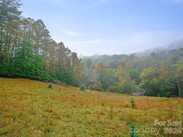 000 Double Island Road, Burnsville, NC 28714