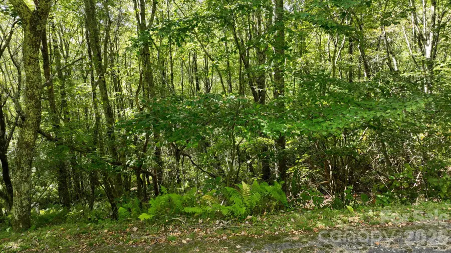Lot 1 South View Trail #1, Banner Elk, NC 28604 - #3
