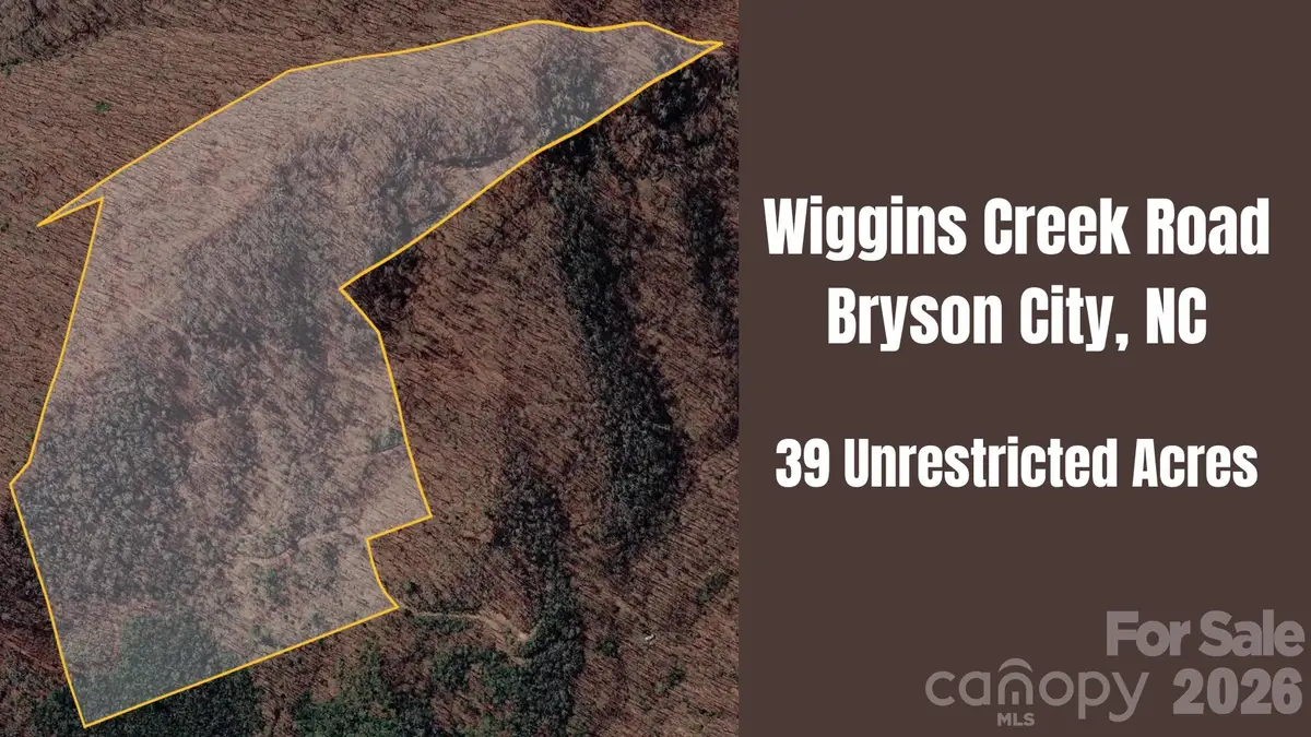0 Wiggins Creek Road, Bryson City, NC 28713 - #1