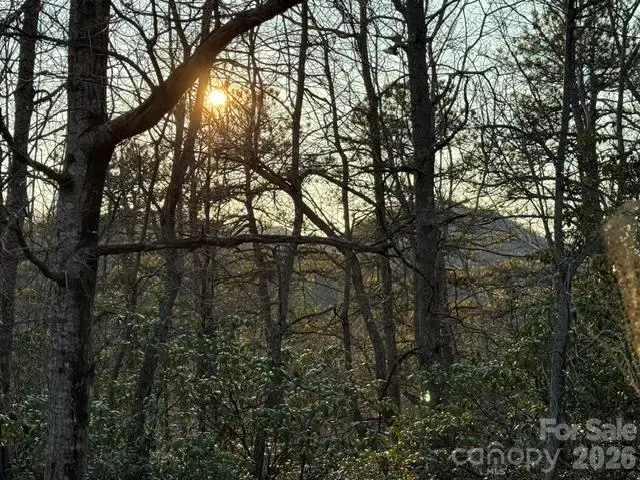 TBD Burnt Ridge Trail, Black Mountain, NC 28711 - #3
