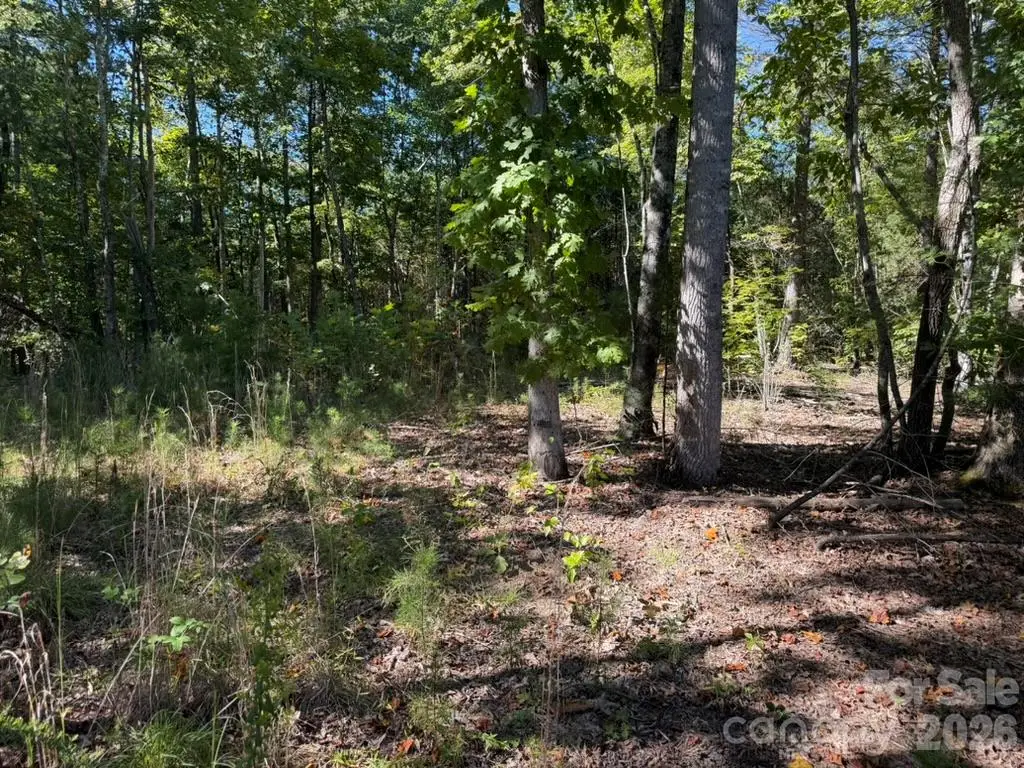 3523 Pax Hill Road, Morganton, NC 28655 - #1