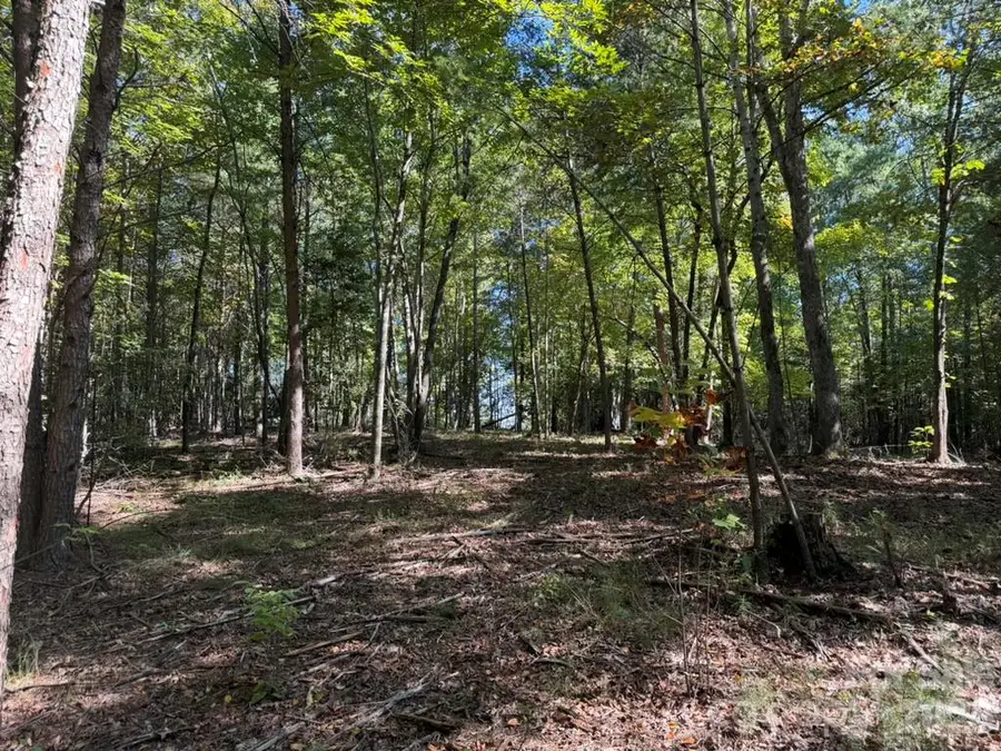 3523 Pax Hill Road, Morganton, NC 28655 - #3