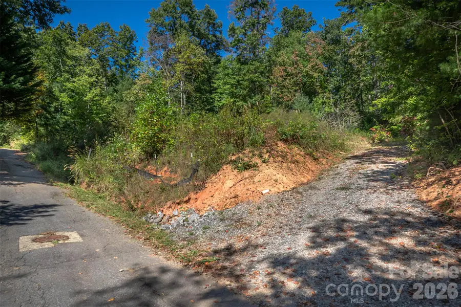 21 W Keesler Street, Black Mountain, NC 28711 - #2