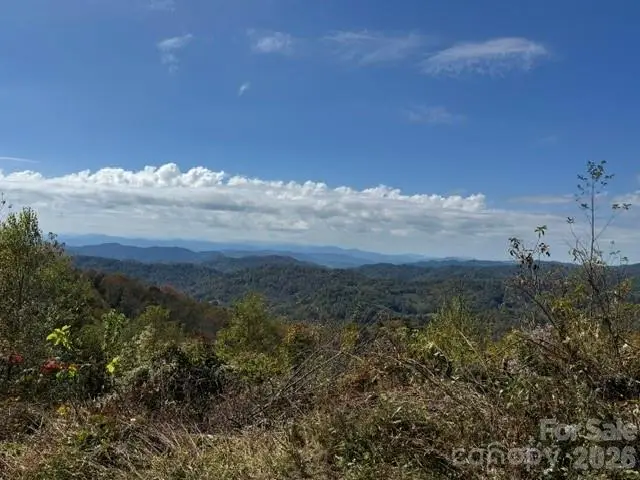 50 Scenic Wolf Ridge Road, Mars Hill, NC 28754 - #1