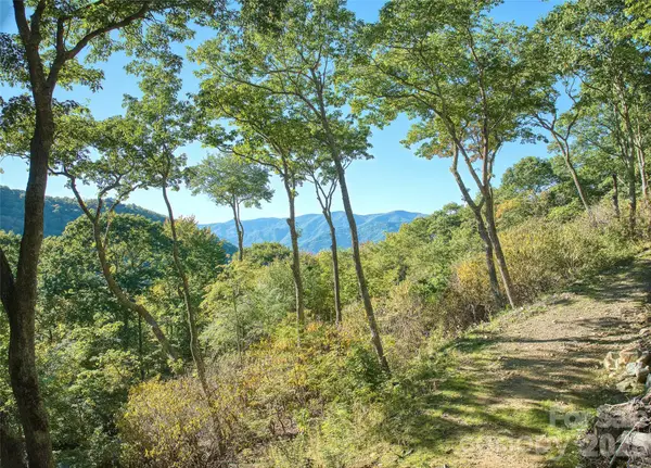 270 Olli Trail, Maggie Valley, NC 28751