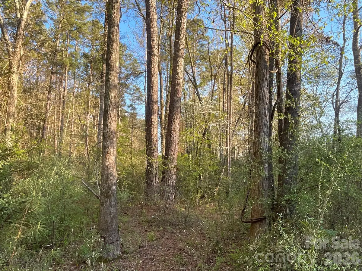 161 Little River Trail #1, Indian Land, SC 29707 - #1