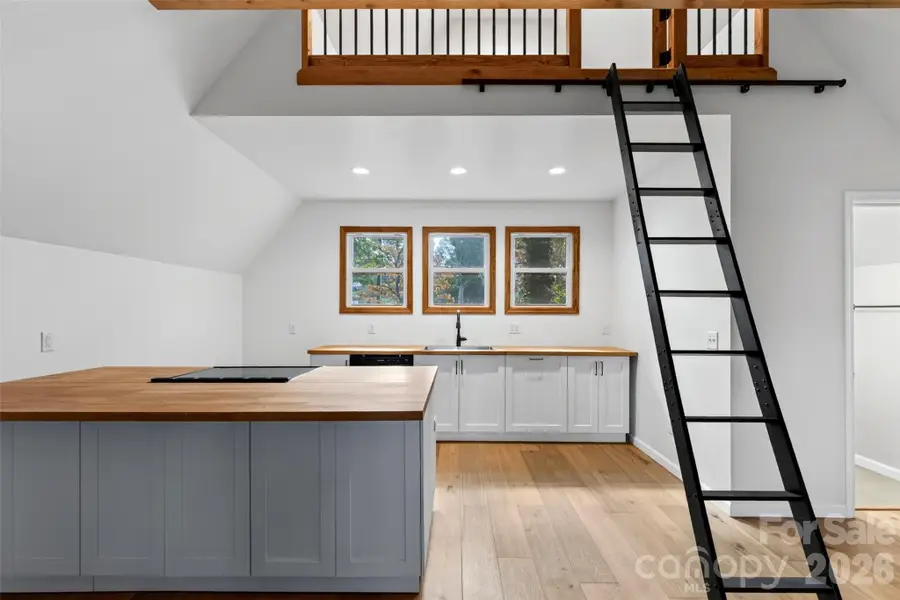 56 Pine Cone Drive #2, Asheville, NC 28805 - #3