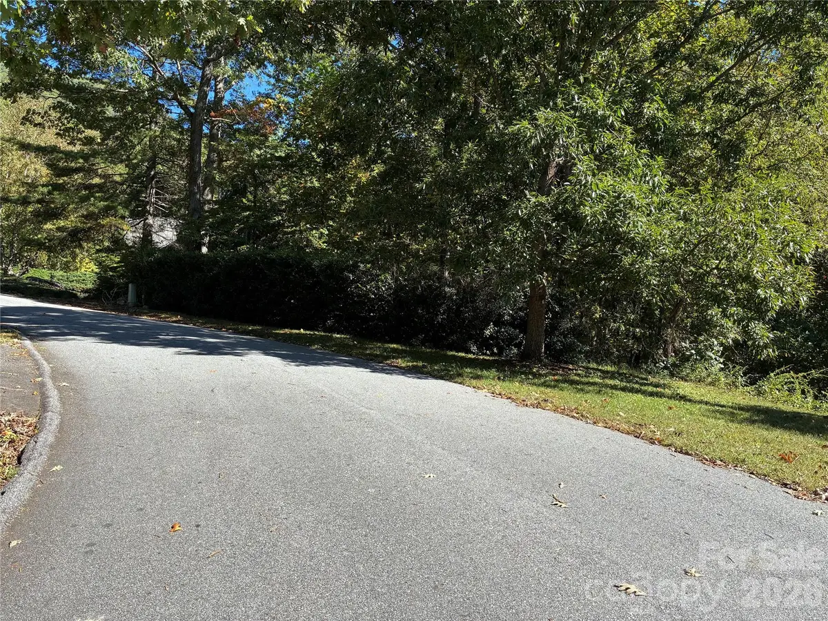 99999 Cliffview Drive, Asheville, NC 28803 - #1