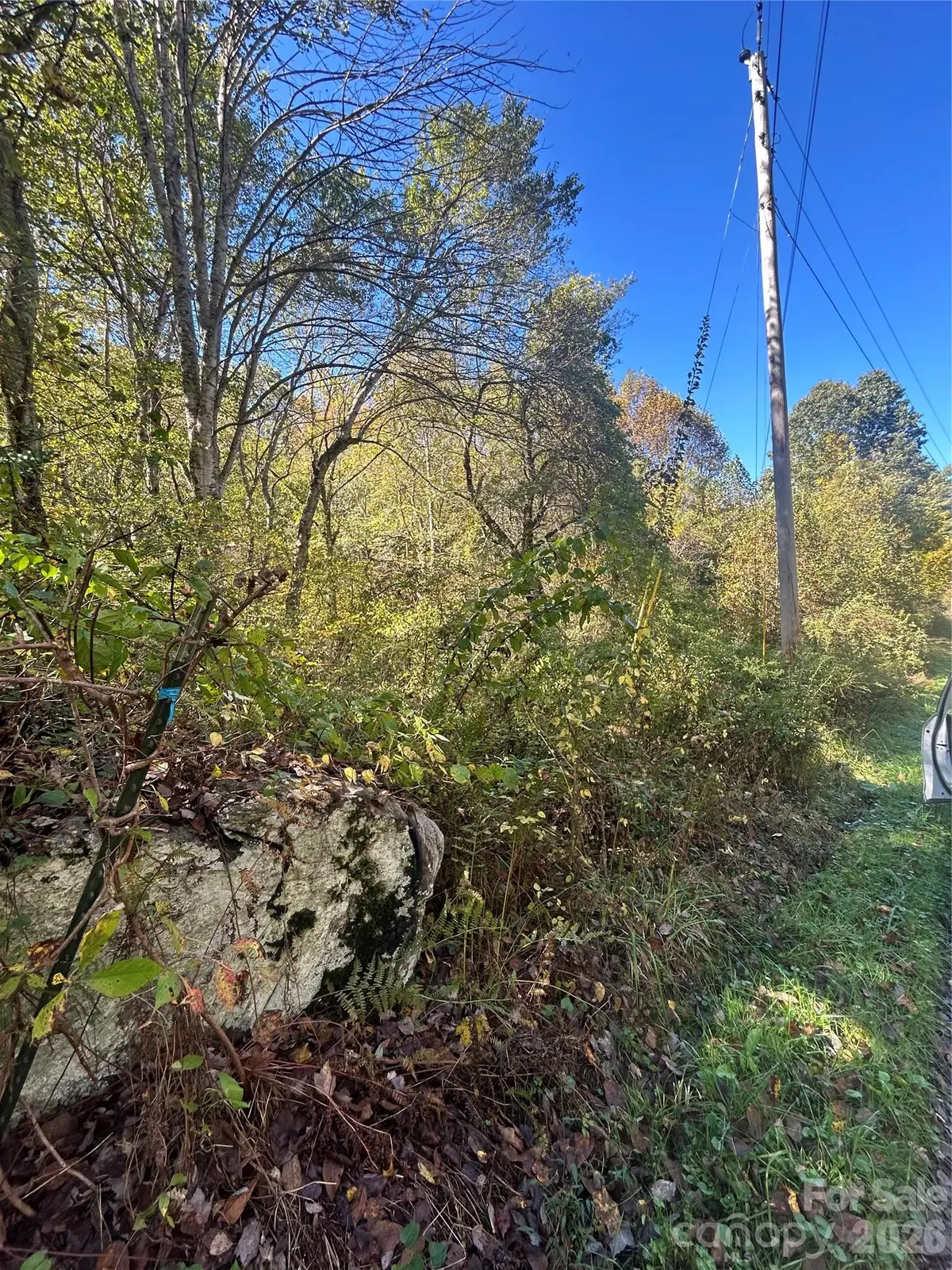 00 Asbury Road, Waynesville, NC 28786 - #1
