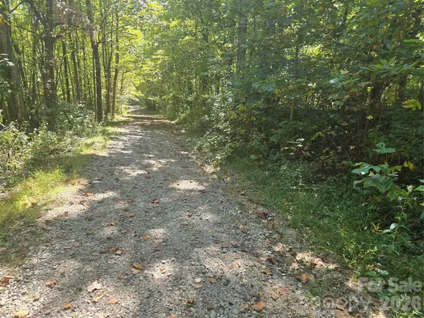 99999 Fawns Rest Trail #6, Black Mountain, NC 28711