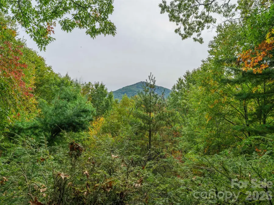 250 Creekside Drive, Maggie Valley, NC 28751 - #3