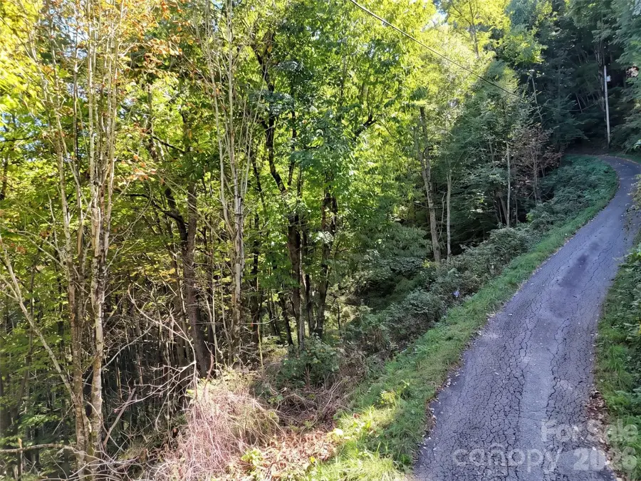 00 Buckeye Haven Road #Lot 16, Maggie Valley, NC 28751 - #3