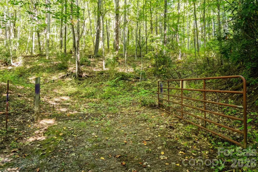 00 Orion Davis Road, Waynesville, NC 28786 - #3
