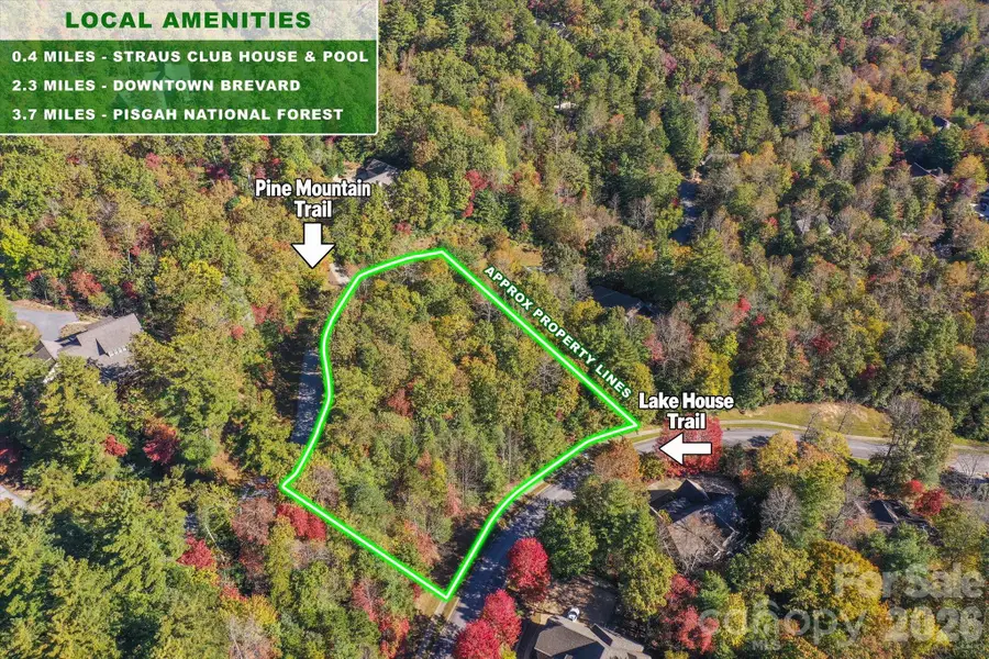 TBD Pine Mountain Trail #M2, Brevard, NC 28712 - #2