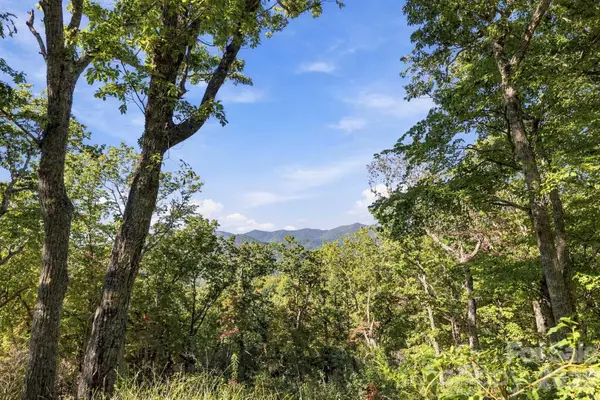 99999 Harrison Hill Road, Swannanoa, NC 28778