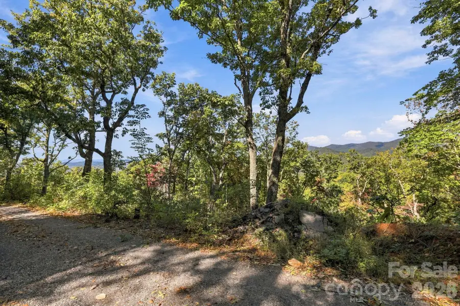 99999 Harrison Hill Road, Swannanoa, NC 28778 - #3