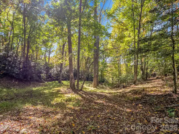 396 Patton Mountain Road, Pisgah Forest, NC 28768