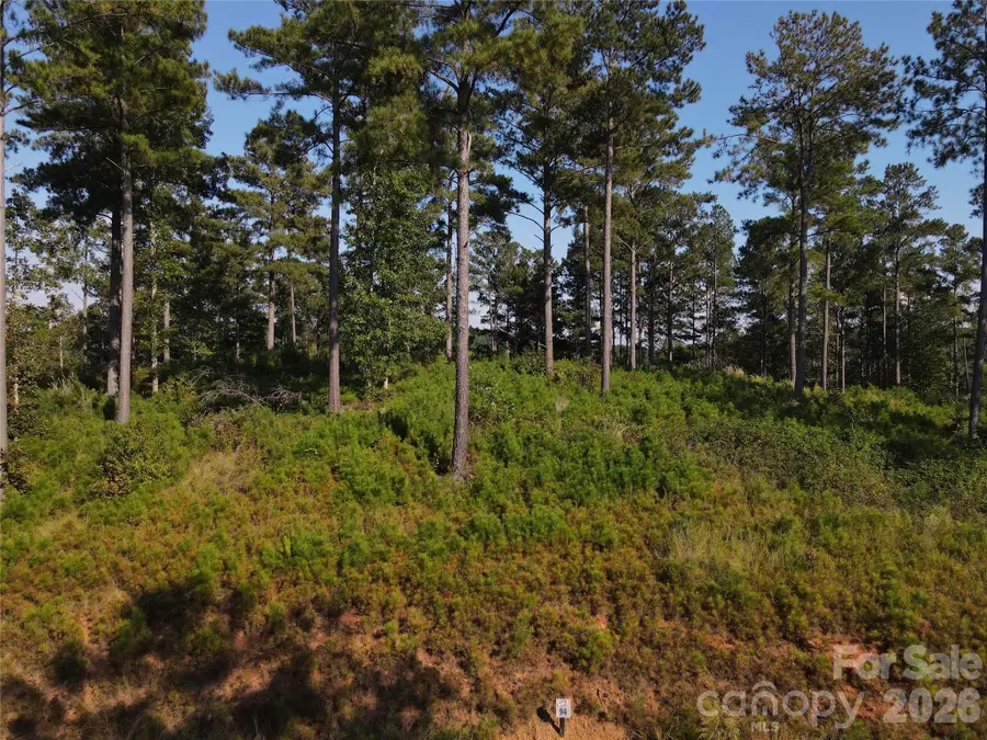 3038 Jumping Run, Connelly Springs, NC 28612 - #2