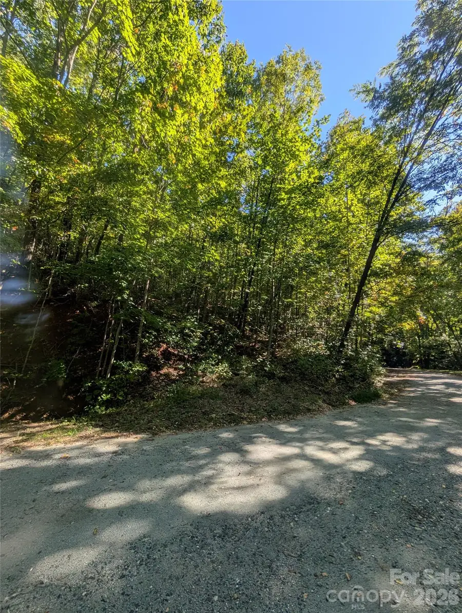 0 Lakeview Drive #409, Tryon, NC 28782 - #2