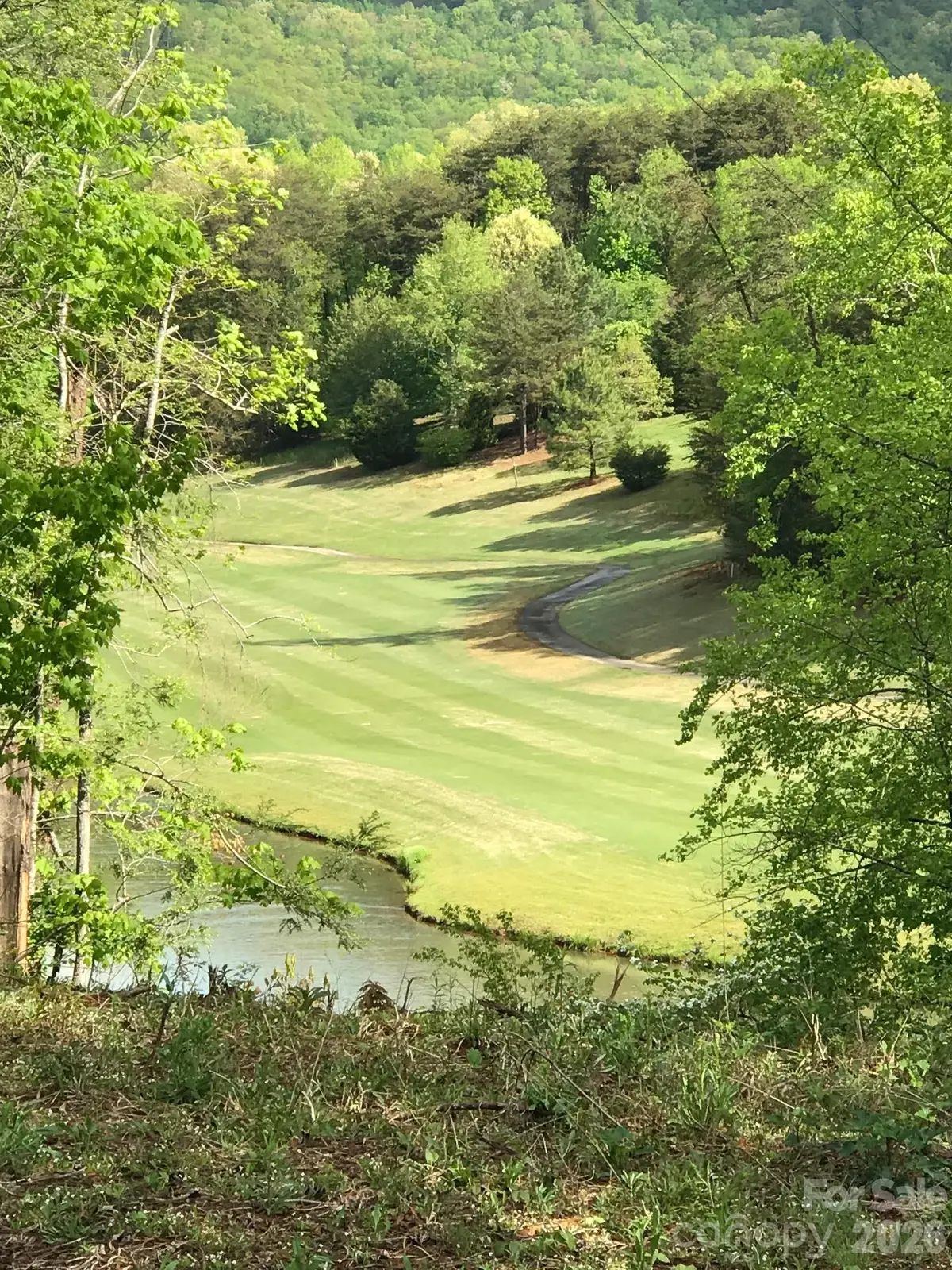 0 Stonecrest Court, Lake Lure, NC 28746 - #1