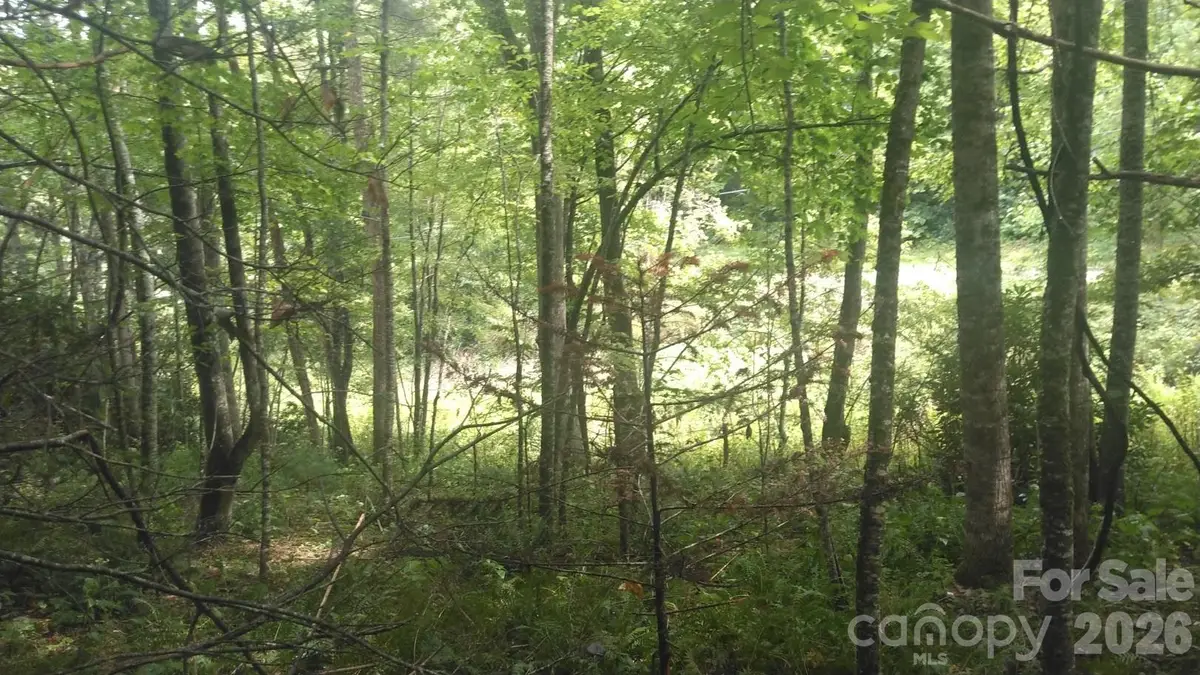 7360 Nc 183 Highway, Newland, NC 28657 - #1